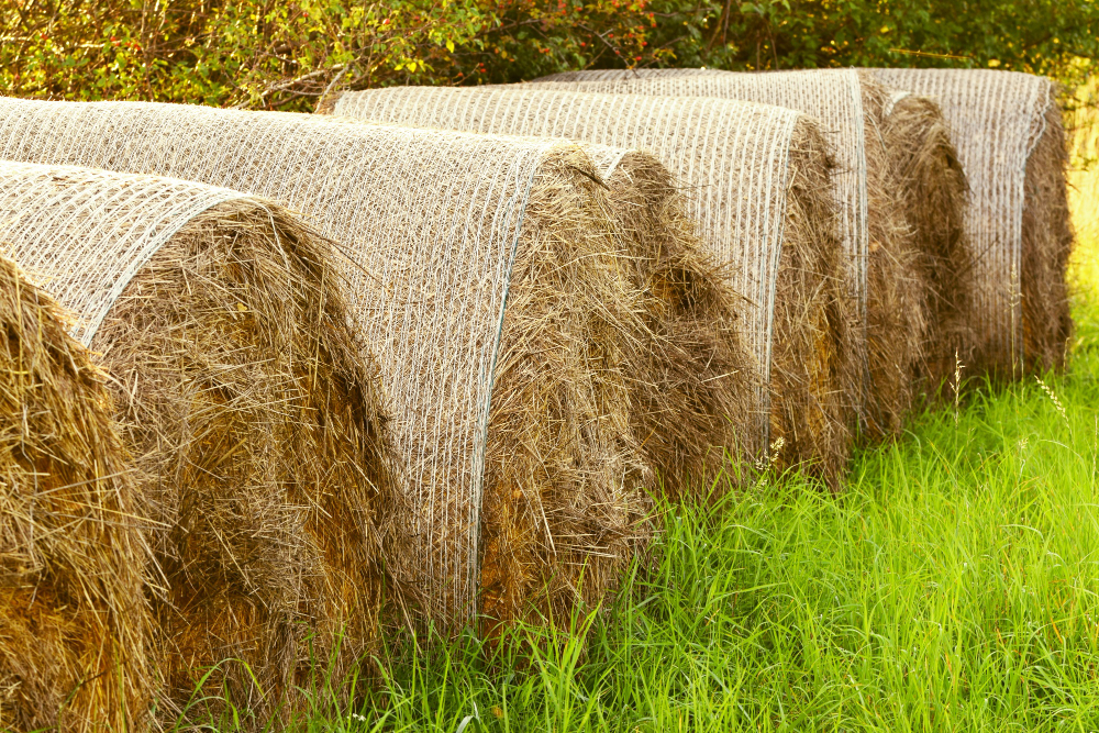 Silage Hubs